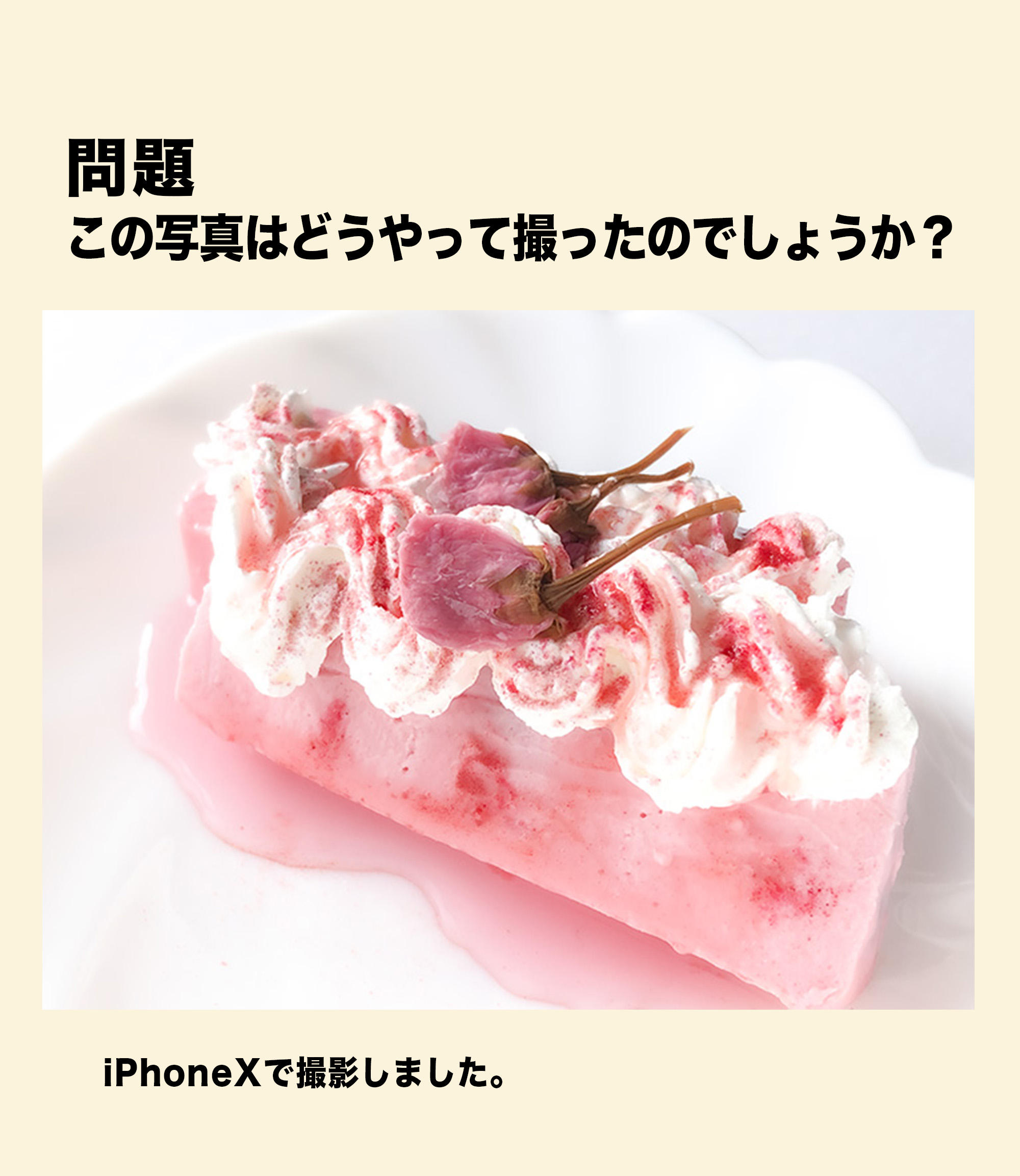 20220423さくらチーズテリーヌ.jpg